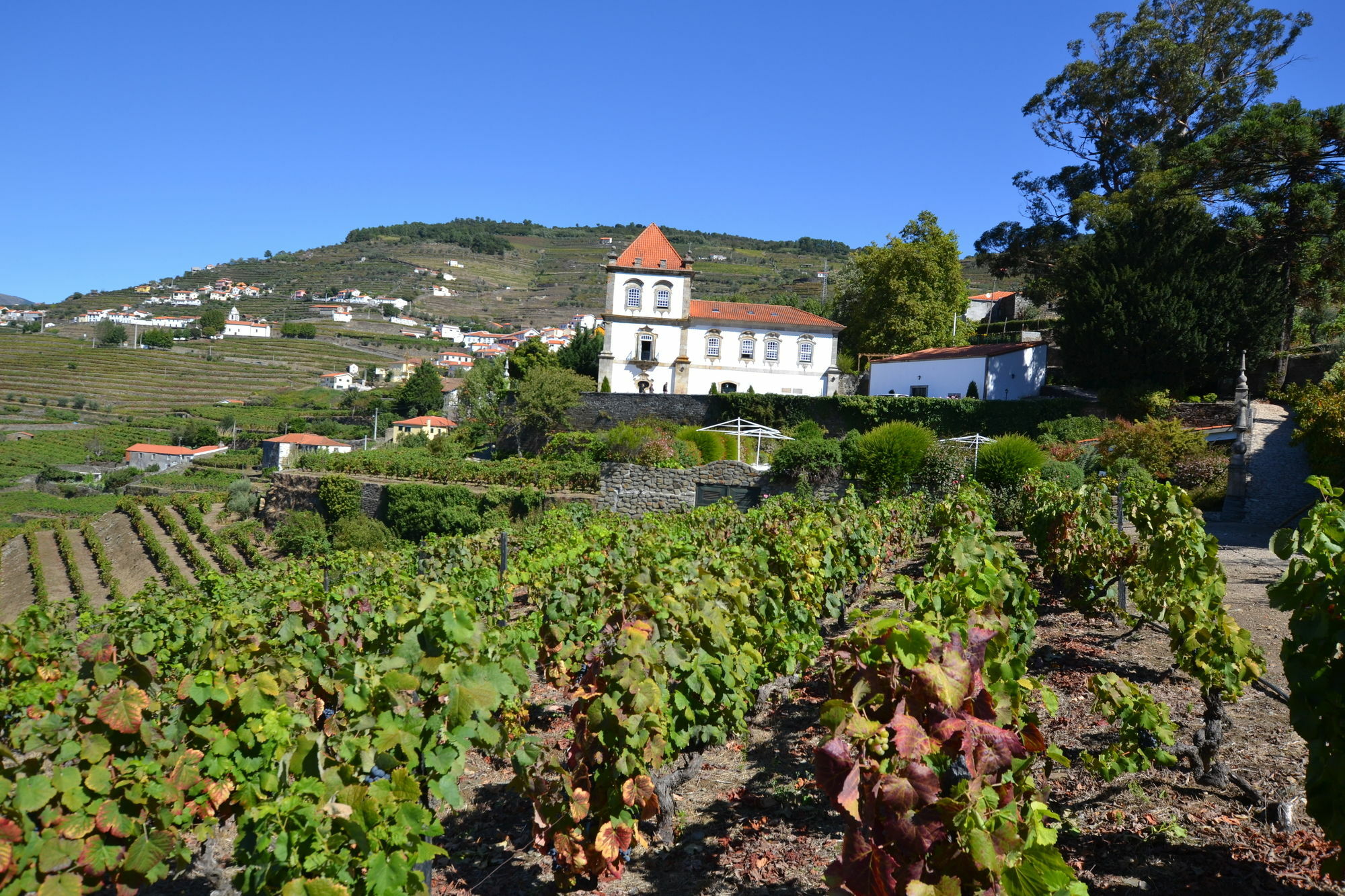 Casa Das Torres De Oliveira Mesão Frio Exterior foto